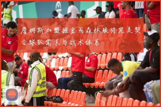 詹姆斯加盟掘金或森林狼将完美契合球队需求与战术体系