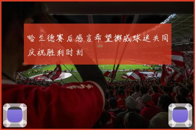 哈兰德赛后感言希望挪威球迷共同庆祝胜利时刻